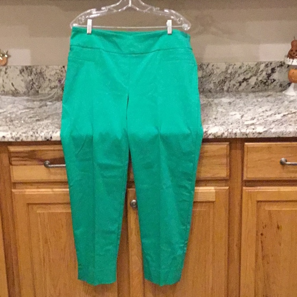 NWT Zac and Rachel stretch pants